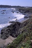 Cambria beach