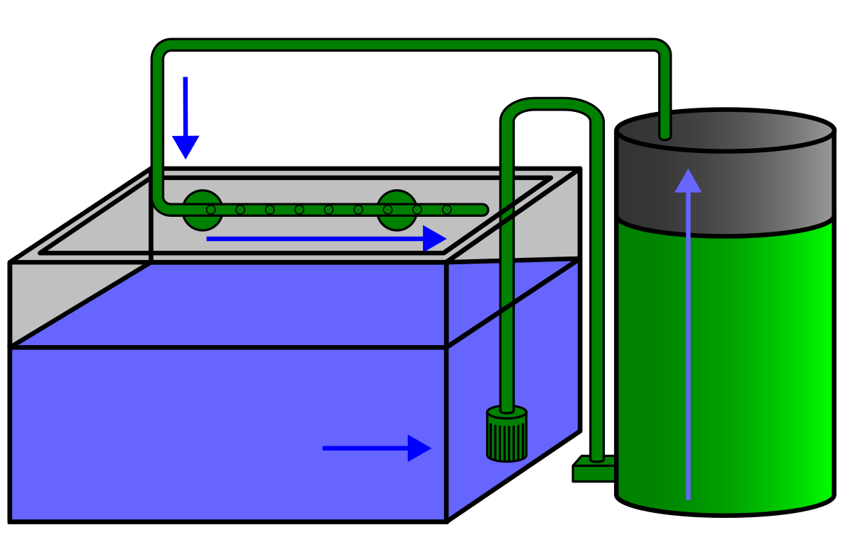 aquarium with filter