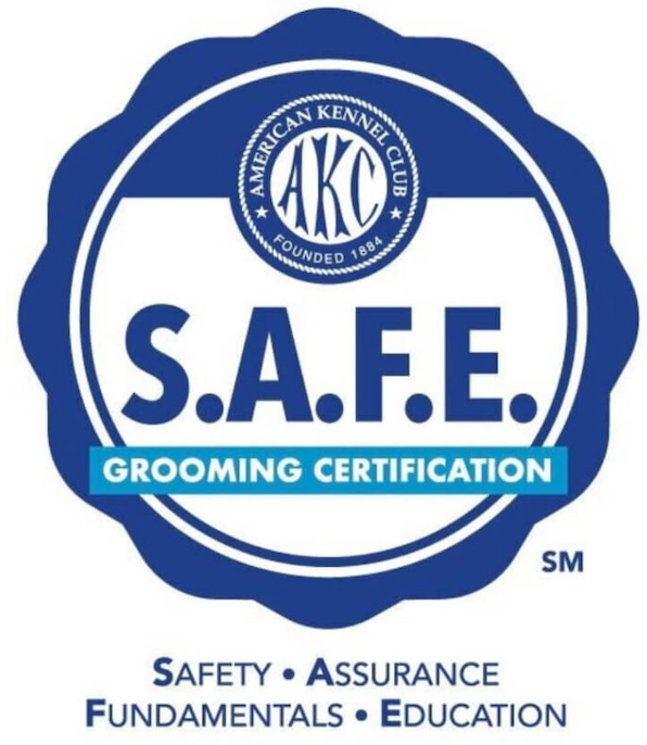 Certification 1
