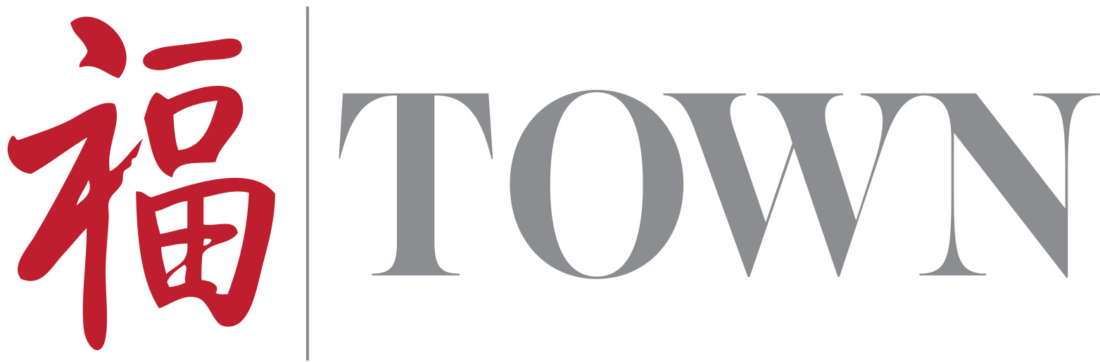 TOWN_logo