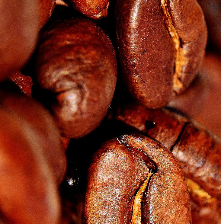 Coffee Beans