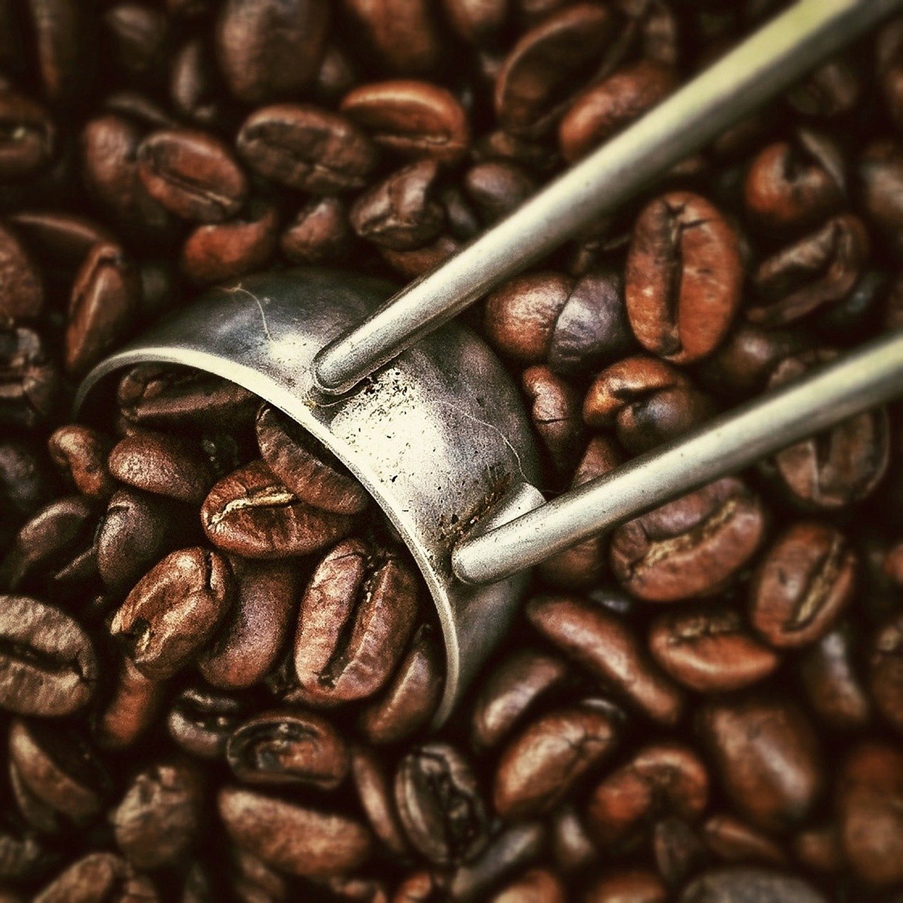 Coffee Beans