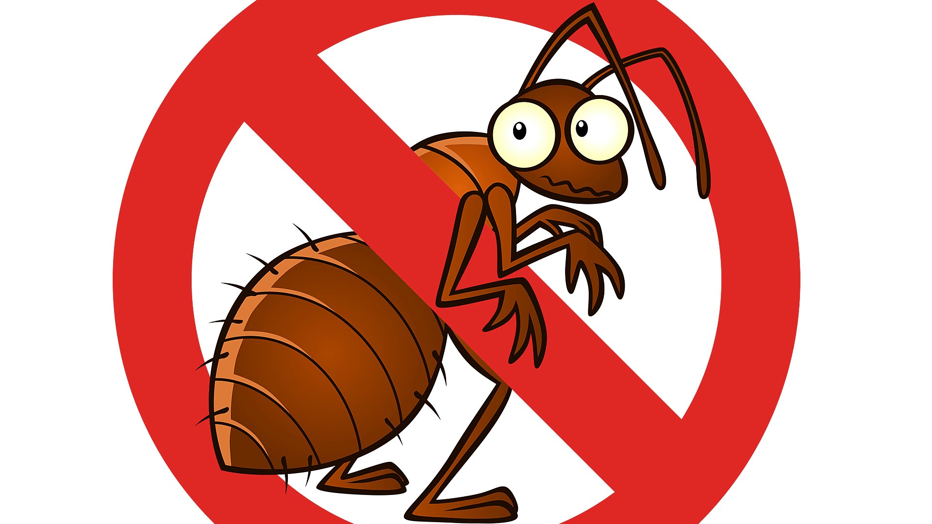 pest-control
