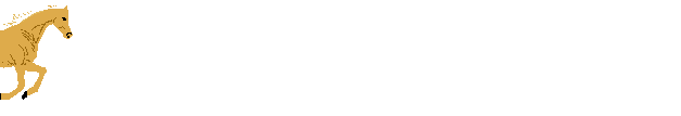 Horse Running