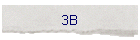 3B
