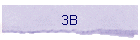 3B
