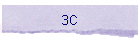 3C