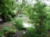 Snap040530064.jpg (490041 bytes)