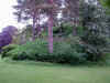 Snap040530067.jpg (541133 bytes)