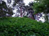 Snap040530069.jpg (489752 bytes)