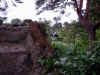 Snap040530074.jpg (404729 bytes)