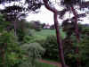 Snap040530075.jpg (485953 bytes)