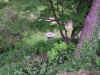 Snap040530078.jpg (498627 bytes)