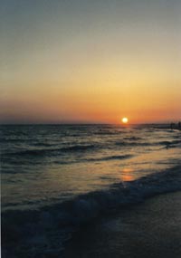 Florida sunset