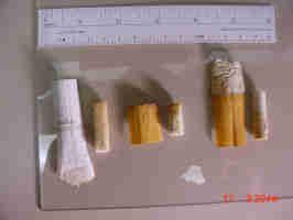 cigarette butts with paper peeled off filters.jpg