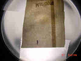 holes in the paper from the filters.jpg