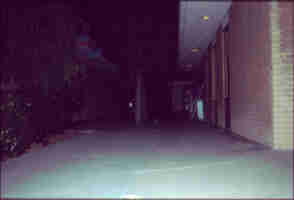 ambient light before.jpg