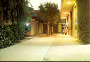 ambient light photography.jpg