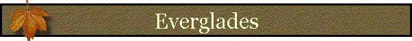 Everglades
