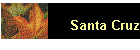 Santa Cruz