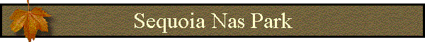 Sequoia Nas Park