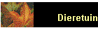 Dieretuin