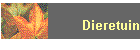 Dieretuin