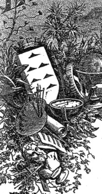 esc_ilu.jpg (50953 bytes)