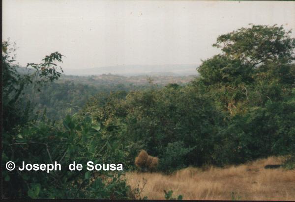 Photo of Hillside in Siolim Goa