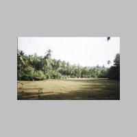Photo of Field in Siolim Goa