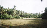 photo gallery of siolim goa