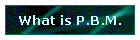 What is P.B.M.