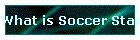 What is Soccer Star Page 2