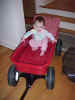 November 24, 2001