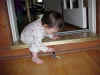 April 22, 2002