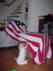 September 14, 2002