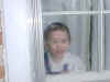 November 16, 2002: looking out the living room window
