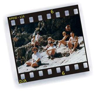 The Lounge Lizards