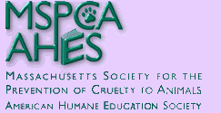 GOTO MSPCA