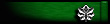 Lieutenant Colonel