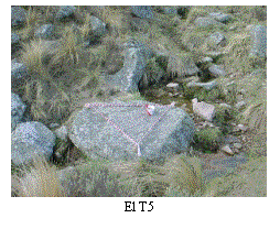 Cuadro de texto:  
El T5
