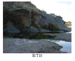 Cuadro de texto:  
El T10
