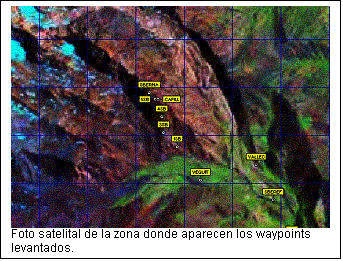 Cuadro de texto:  
Foto satelital de la zona donde aparecen los waypoints levantados.

