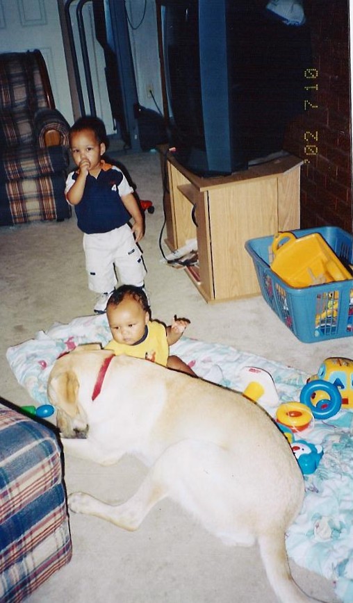 Hey, Buddy is playing with my toy!