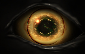 The Eye Of A Peryton