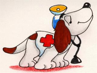 /user/PERRITO-3.JPG