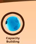 Capacity Building