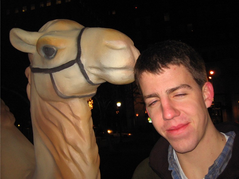 camel