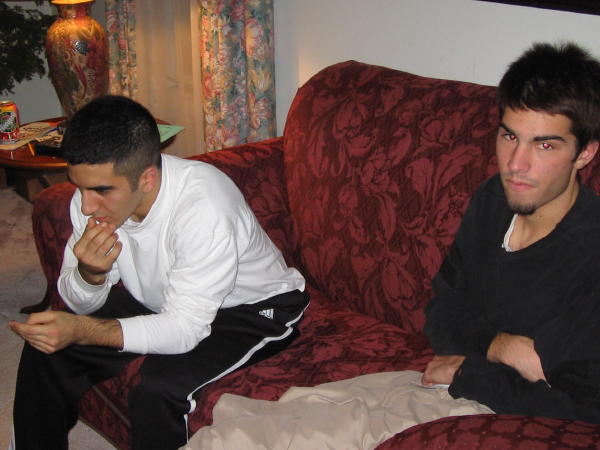 concentrate