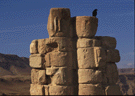 Bird on Pillar